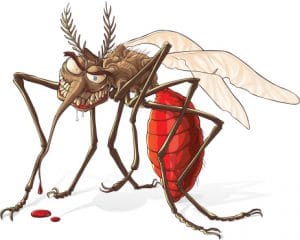 Fucking Mosquito